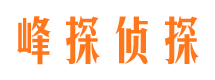 盐源找人公司